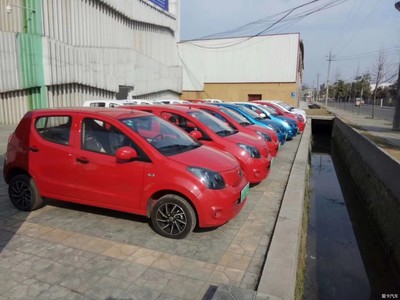 純電動汽車租賃(經(jīng)濟代步神車)